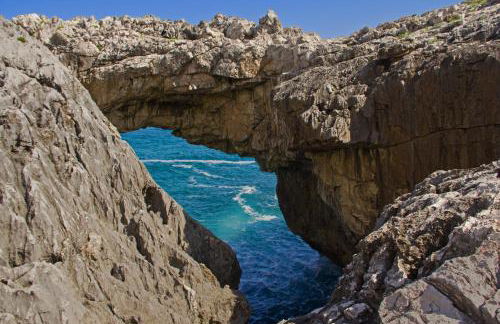 Apartamentos la Regoria - Foto 56