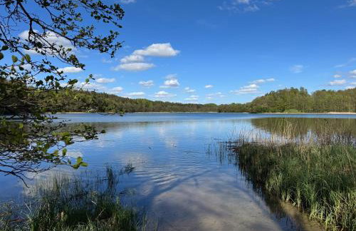 Kaszubska Nirvana - całoroczny dom na wyłączność z jacuzzi - Foto 40