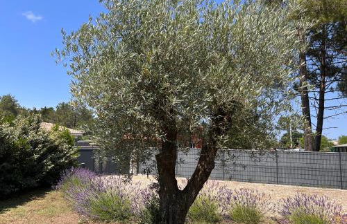 Location villa entre lac et océan avec son spa de nage - Foto 17