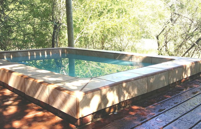 Lion Tree Bush Lodge - Foto 23