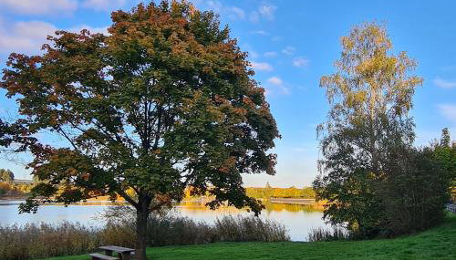 Draußen am See - Foto 5