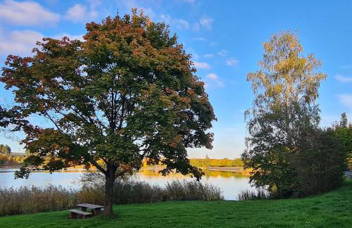 Draußen am See - Foto 5