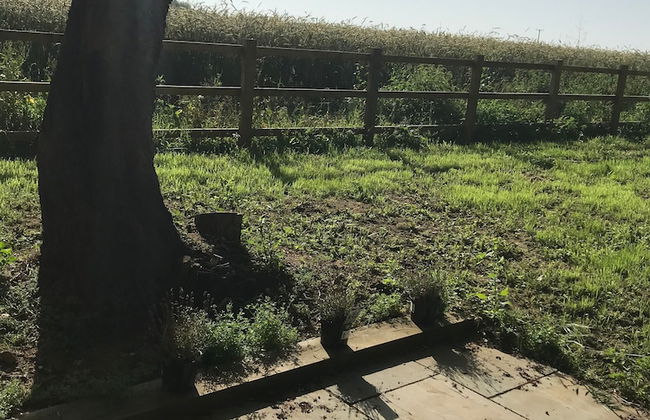 Well Barn, Sudbourne - Foto 16