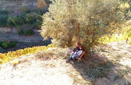 Quinta Barqueiros D'Ouro - Casa da Música - Photo 62