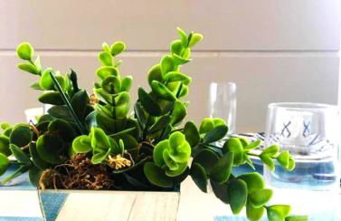 Apartamento Completo Ingleses para 5 Pessoas - Foto 9