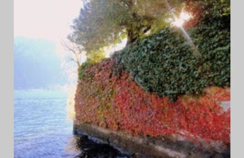 TREMEZZO RESIDENCE 5-1 of 11 apartments in an exclusive residence by Italian Apartments - Foto 39