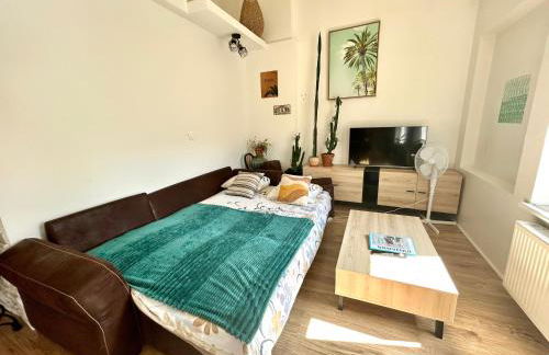 Le Nid Tropical Proche gare - Foto 15