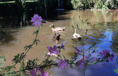 Moulin des Forges Gites, Camping et Glamping - Photo 25