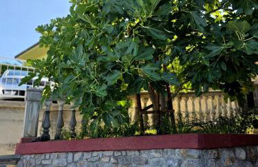 Apartmani Hotko 1 - Foto 23