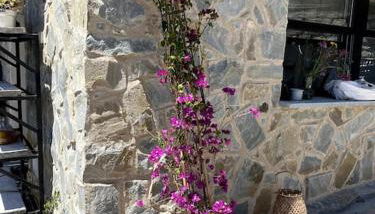 Beautiful Ligurian house with pool - Foto 3