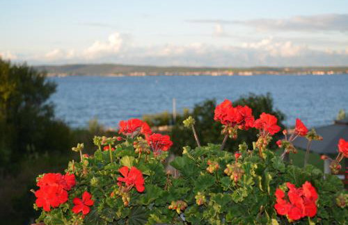 Villa Banjka - Foto 18