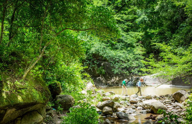 Day Trip to El Rey National Park - Photo 4