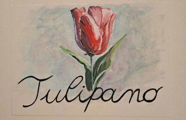 Palazzo Glicine - Photo 57