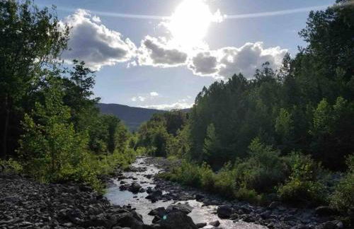 Catskills Quaint Cottage with Peloton Minutes from Hiking - Foto 21
