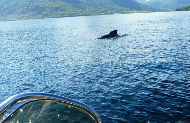 Fiskesenter Birkeland - Photo 39