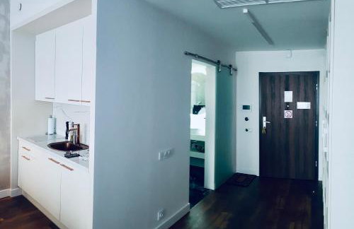 Hanza Tower -M&M Luxury Apartment - Foto 5