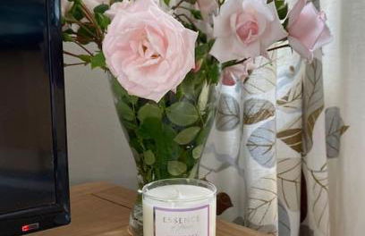 Castle Kennels - Foto 16