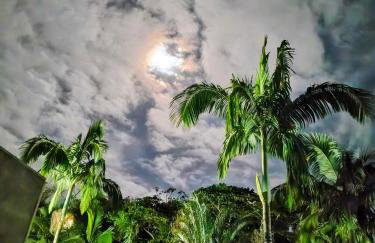 Bèlla Chacara Morretes - Pr - Photo 51