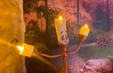 L'enchantée, 6 people, 15 min Disneyland Paris, BBQ - Foto 21