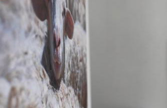 Appartamento Camisa - Il Fico - Foto 47