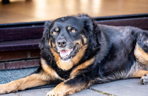 2 Bed in Llandrindod Wells oc-88203 - Foto 20