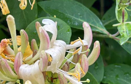 The Captain's House - Photo 9