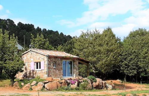 Stone House in France with Pool & Vineyards - Foto 1
