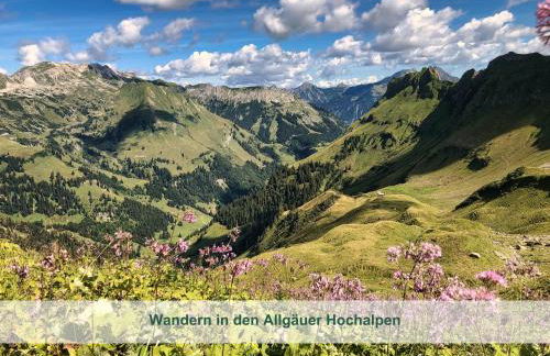 Chalet - Ferienwohnungen - Biohof Stöger - Panoramasüdbalkon - grandiose Aussicht auf See, Berge und Schloss Neuschwanstein - Foto 36