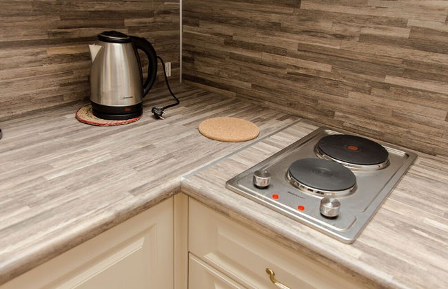 Zima Leto Apart Hotel - Photo 25