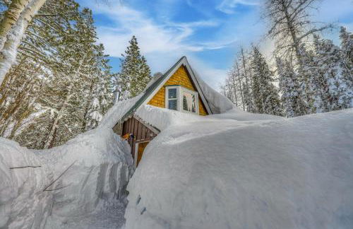 A Bear's Rest - Foto 26