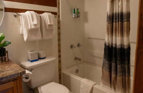 Alpenglow Three Bedroom Two Bath XL – A16 - Foto 40