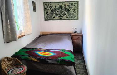 Gospodarstwo agroturystyczne alpaki Pituchówka - Foto 10