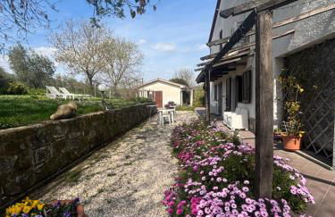 Agriturismo La Locandiera - Foto 1