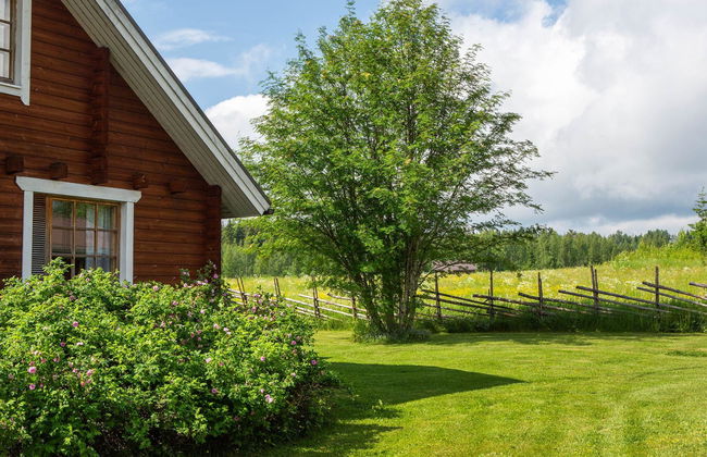 Ranta-lemettilä - Foto 6