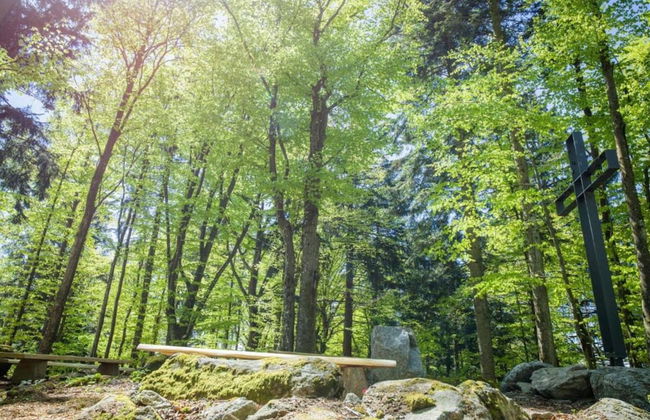 Family Apartment Marianne With Pool and Sauna - Foto 25