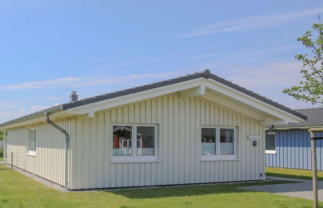 Steinwälzer - Foto 14