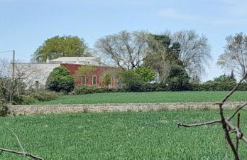 Masseria Ai Pioppi - Foto 50