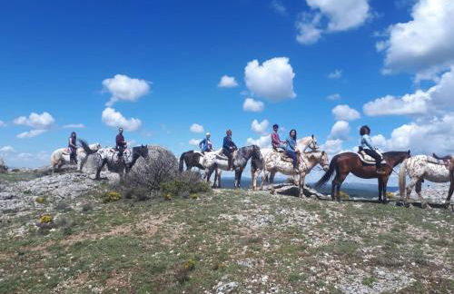 Entrada Río Lobos - Photo 46