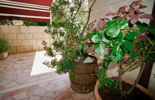 Villa Rustica Dalmatia - Photo 16