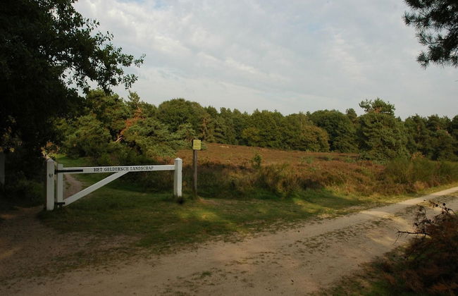 Beautiful Holiday Home With Spacious Garden - Photo 31