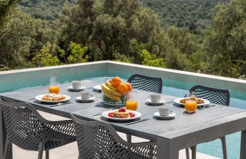 Mesogi Villas, brand new modern, stylish villas, private pool, seaviews - Photo 24