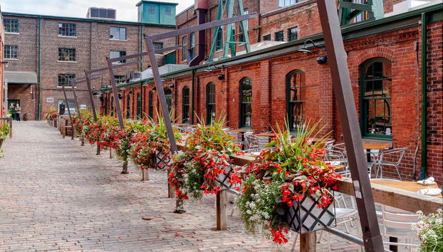 Toronto Private Walking Tour - Foto 4