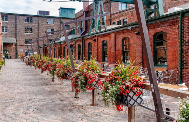 Toronto Private Walking Tour - Foto 4