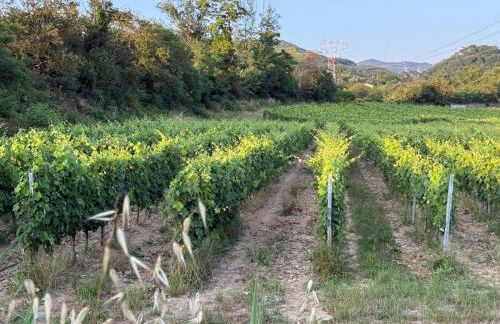 Villetta Tora - Photo 13