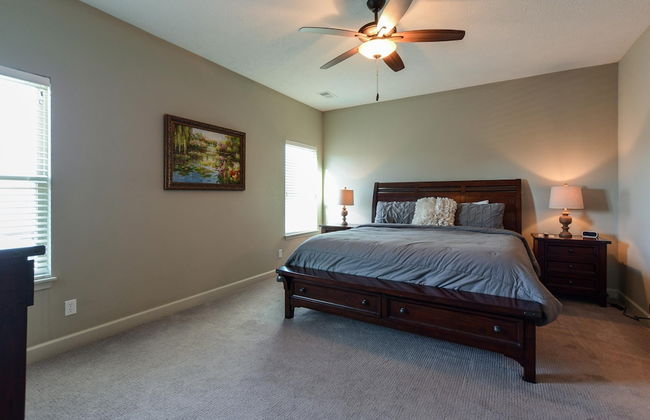 The Splendor - Foto 19