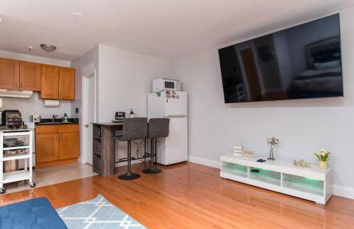 Downtown Boston Studio Central Location Famous Nightlife Chinatown with Bed Full of Promises! - Foto 14