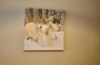 L'Eterlou, 2 minutes à pied des télécabines, Paradiski, Belle vue - Foto 44