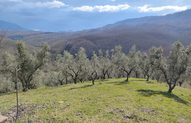 Agriturismo Li Guira - Foto 70