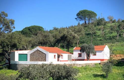 Monte do Pereiro - Foto 71