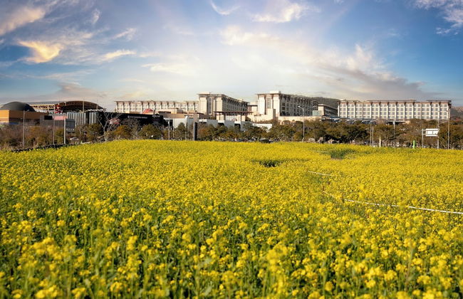 Somerset Jeju Shinhwa World - Photo 71